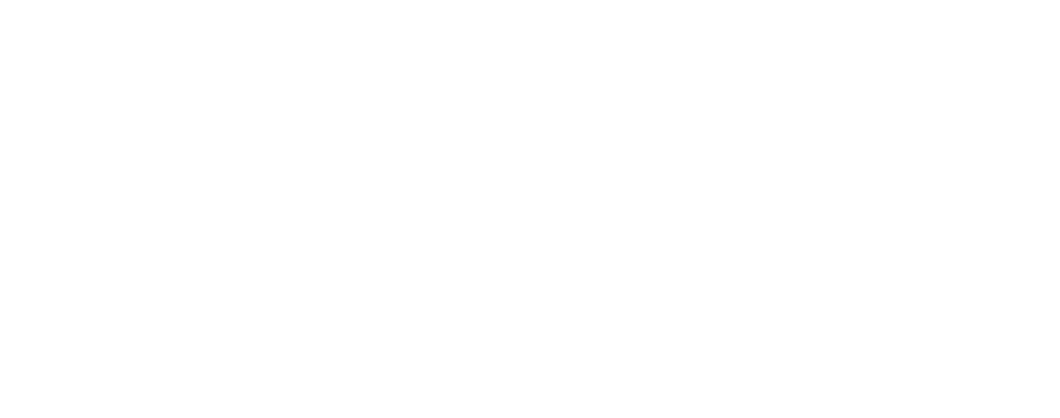Prime Time Limos